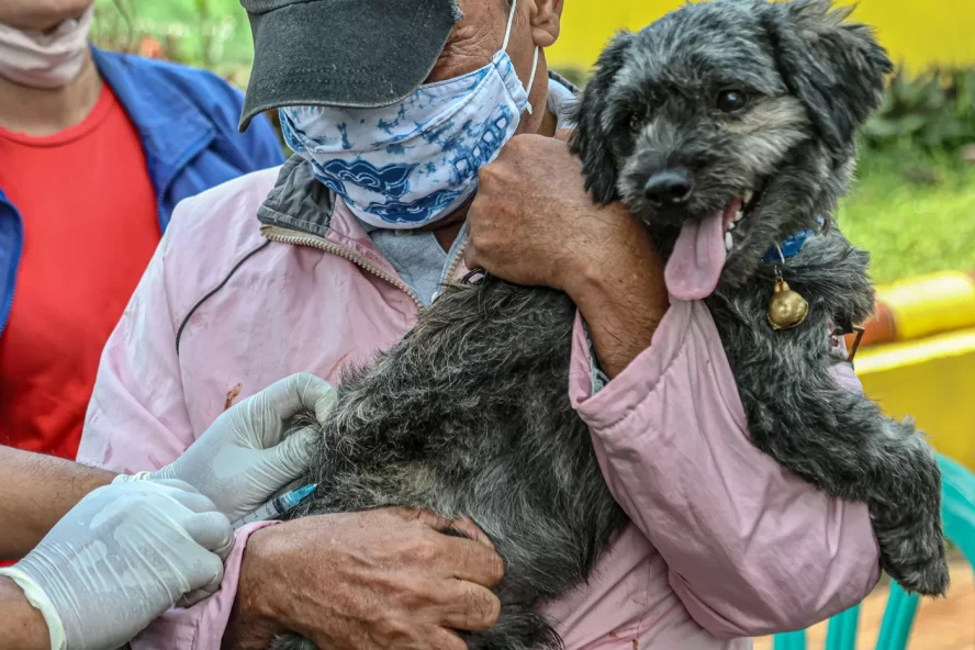 video penyiksaan seekor anjing viral